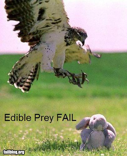 Eagle Fail