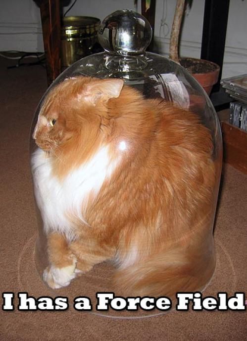 image: lolcat_ihasaforcefield